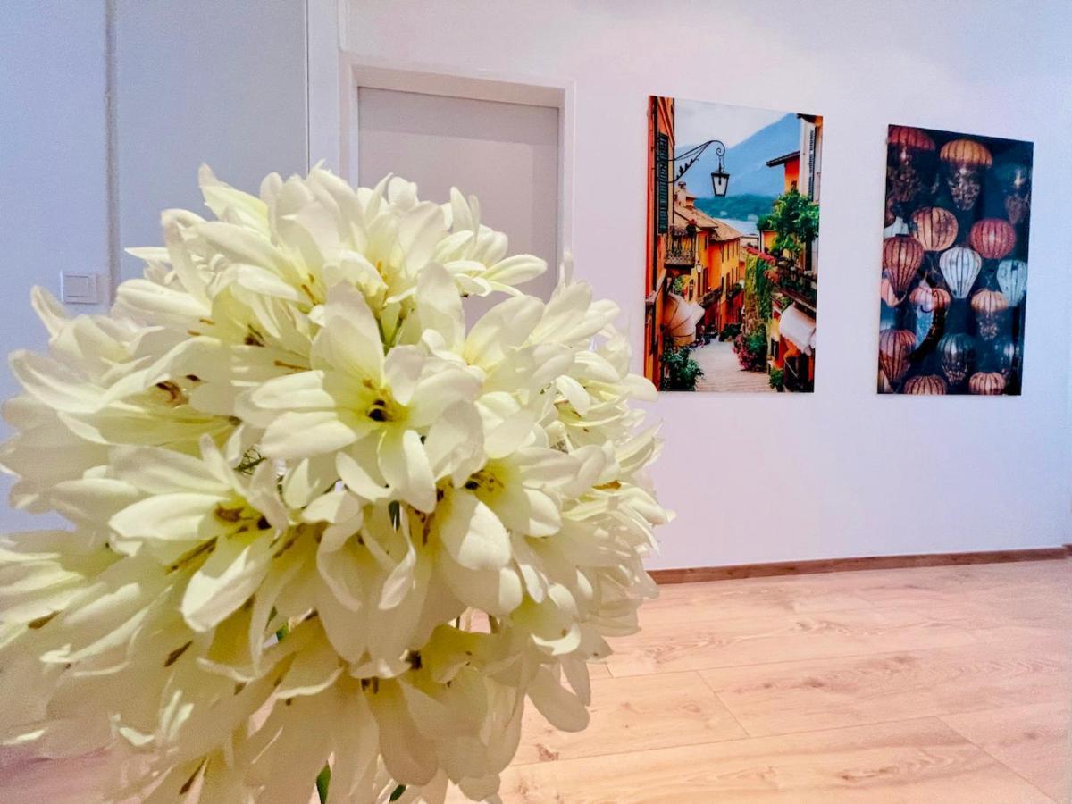 Colorful & Quiet Apartment In Beautiful Viennese Building מראה חיצוני תמונה
